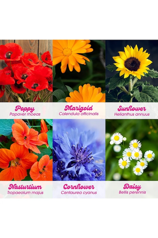 RESETEA zestaw do uprawy kwiatów Flower Power 26,5 x 10 x 16 cm Erst505