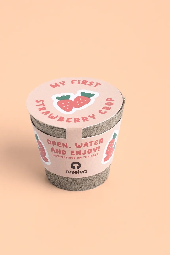 RESETEA zestaw do uprawy rośliny My First Strawberry 6,3 x 5,8 cm multicolor Erst439