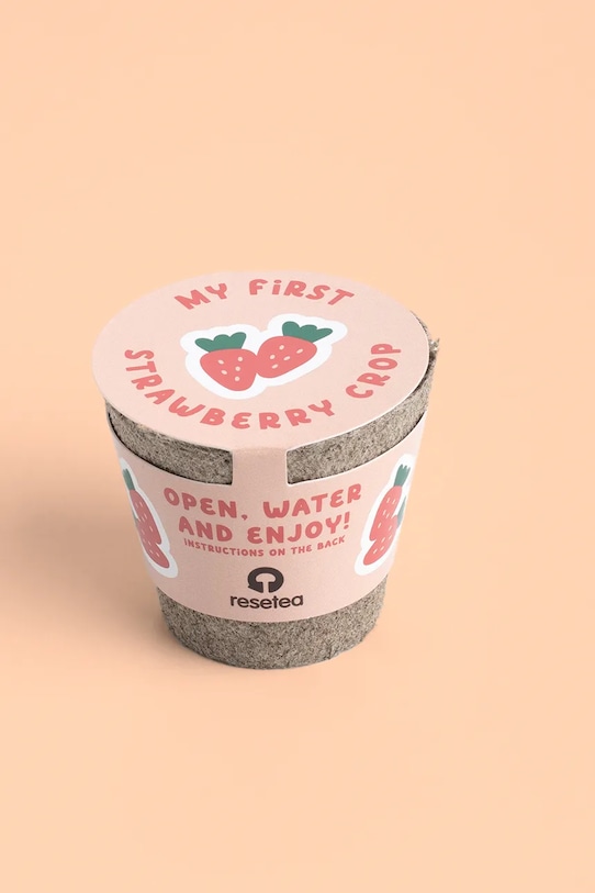 RESETEA zestaw do uprawy rośliny My First Strawberry 6,3 x 5,8 cm multicolor Erst439