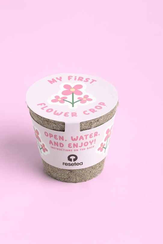 RESETEA zestaw do uprawy rośliny My first flower 6,3 x 5,8 cm multicolor Erst441