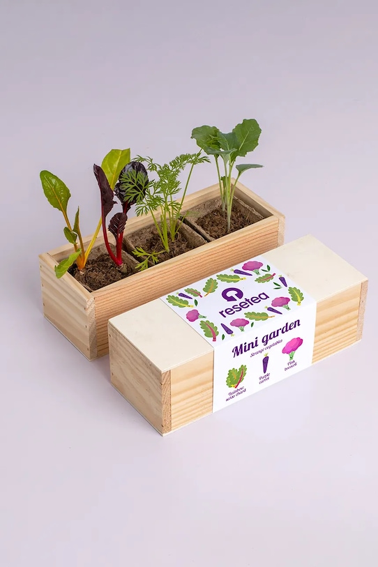 RESETEA zestaw do uprawy roślin Mini garden Strange vegetables 9,8 x 8,8 x 8,8 cm multicolor Erst428