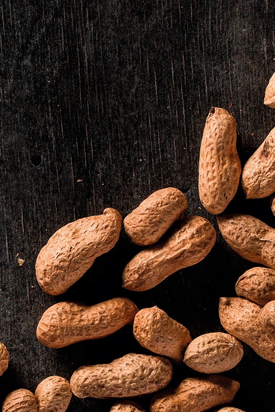 Lifestyle RESETEA zestaw do uprawy rośliny Peanuts Growing Kit 9,8 x 8,8 x 8,8 cm Erst175 multicolor