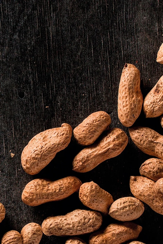 Lifestyle RESETEA zestaw do uprawy rośliny Peanuts Growing Kit 9,8 x 8,8 x 8,8 cm Erst175 multicolor