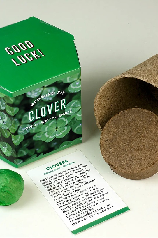 RESETEA zestaw do uprawy rośliny Clover Growing Kit 9,8 x 8,8 x 8,8 cm Erst183 multicolor AA00