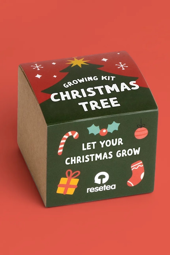 RESETEA zestaw do uprawy rośliny Christmas Tree 7 x 6,5 x 7 cm multicolor Erst586