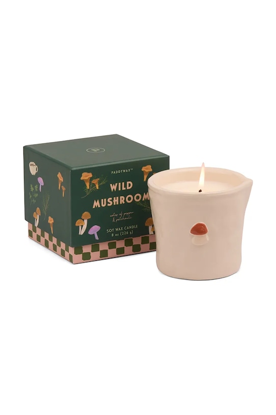 Ароматизована свічка Paddywax Wild Mushroom 226 g барвистий BIS0804EU