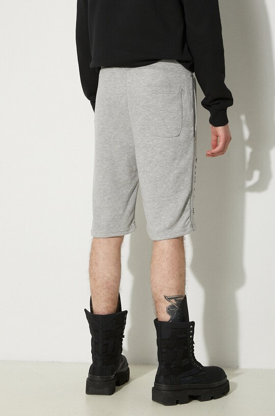 Clothing Alpha Industries shorts Basic 116364.17 gray
