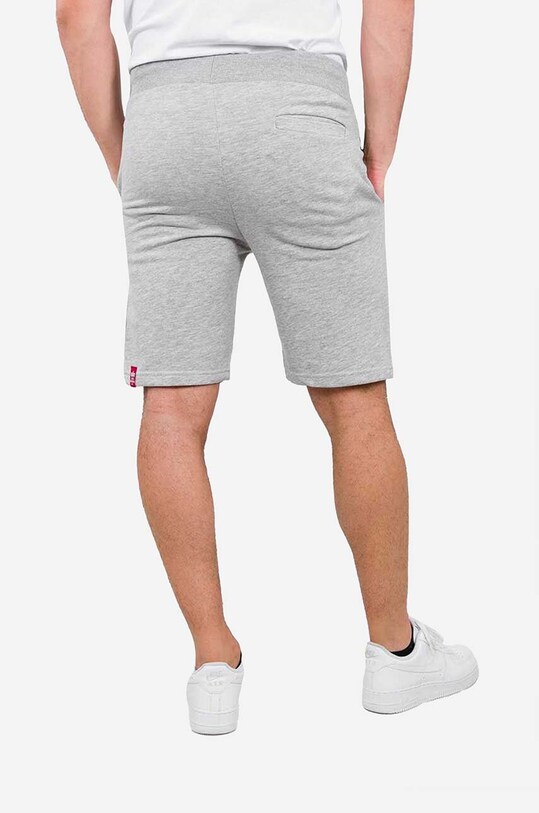 Alpha Industries szorty Big Letters 126344.17 szary AA00