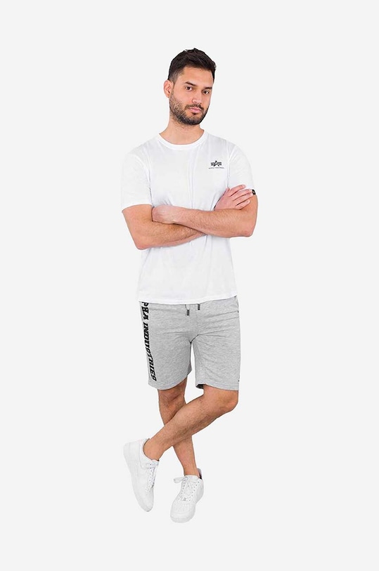 Oblečení Kraťasy Alpha Industries Big Letters 126344.17 šedá