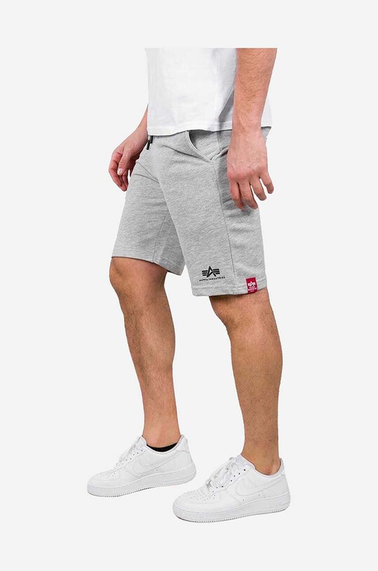 Alpha Industries szorty Big Letters szary 126344.17