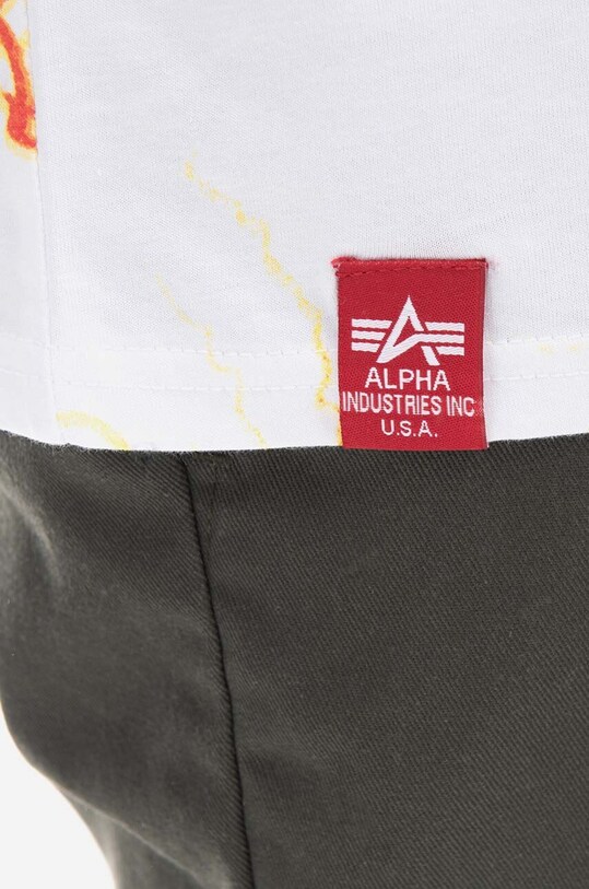 Ρούχα Βαμβακερό σορτσάκι Dickies DK0A4XNFOGX πράσινο