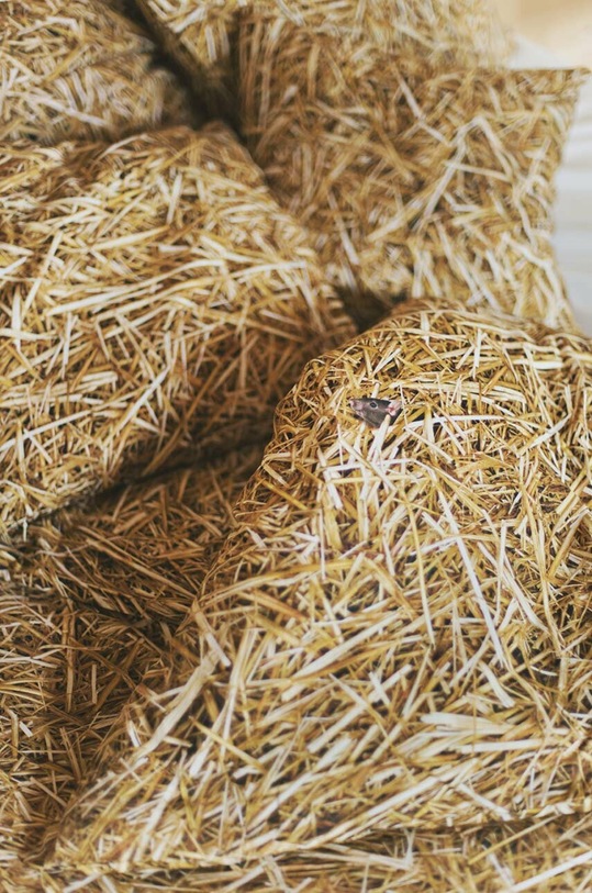 Хлопковый постельный комплект Foonka Słoma 200x200 / 70x80 см 200x200.70x80.S