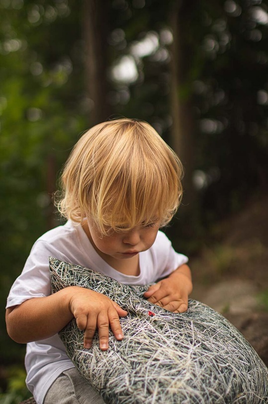 Foonka poduszka wypełniona łuską gryki Siano 50x30 cm PG.50.H