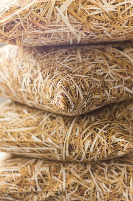 Foonka poduszka ozdobna Słoma 40x40 cm C.40.S żółty AA00