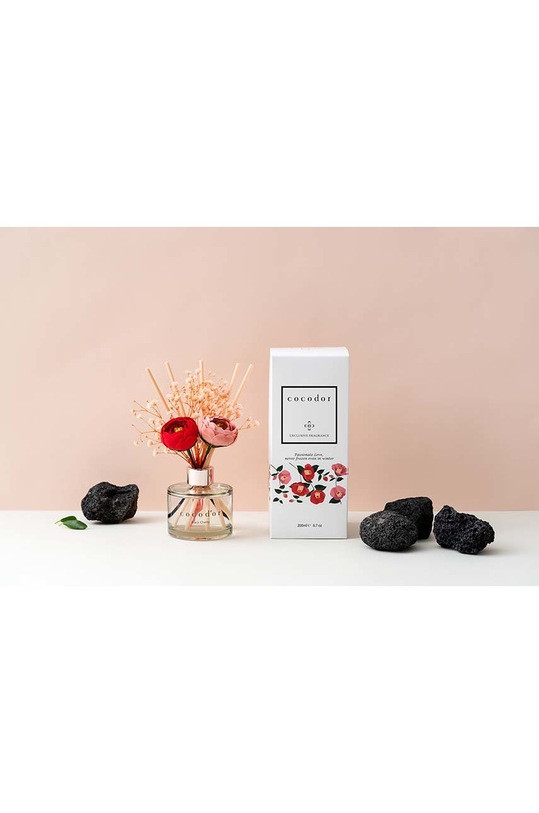 Home SPA Cocodor Raspršivač mirisa PDI30428 šarena