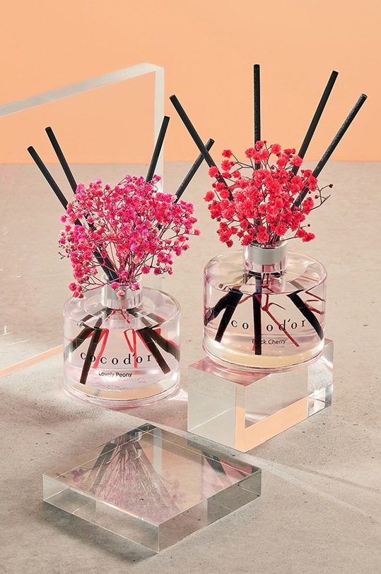 Cocodor Raspršivač mirisa Garden Lavender šarena PDI30407