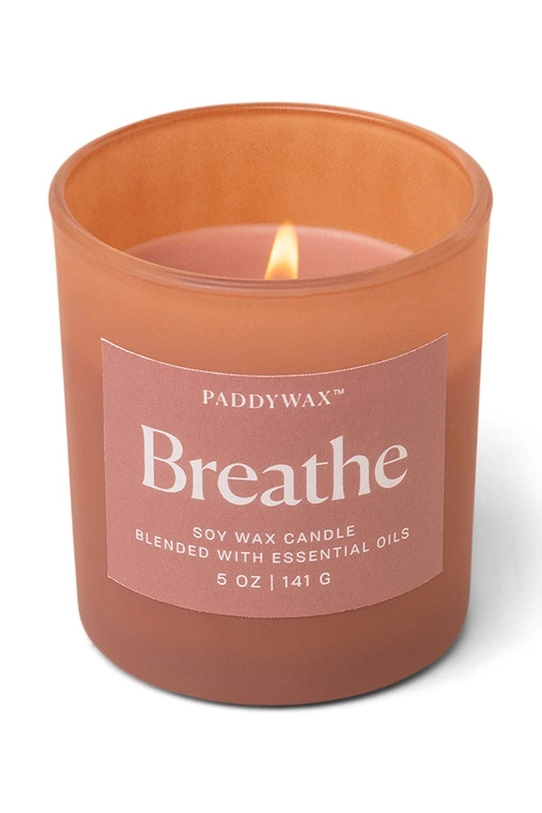 Paddywax Ароматическая соевая свеча Breathe 141 g мультиколор WE0502EU