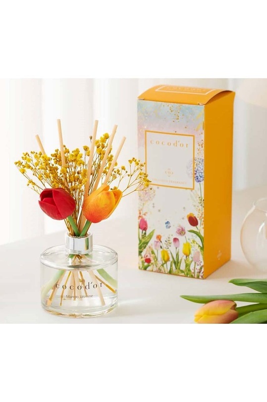 Home SPA Cocodor dyfuzor zapachowy April Breeze PDI30415 multicolor