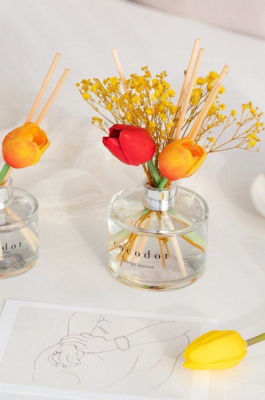 Cocodor dyfuzor zapachowy April Breeze PDI30415