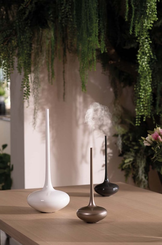 Home SPA Ultrazvučni difuzor Esteban CMP.135 crna