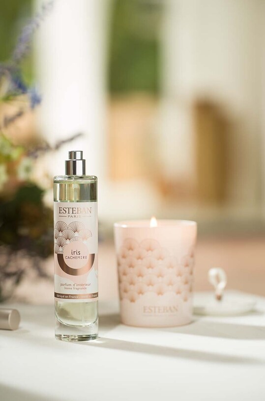 Домашнее SPA Ароматический диффузор Esteban Iris&Cachemire 75 ml IRI.007 мультиколор