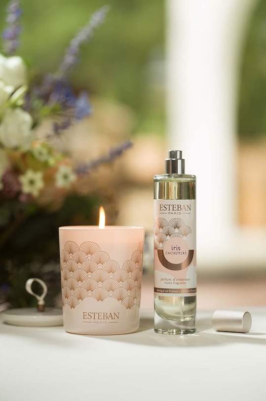 Osvježivač prostora Esteban Iris&Cachemire 75 ml šarena IRI.007
