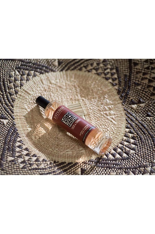 Osvježivač prostora Esteban Teck et Tonka 75 ml TET.109 šarena