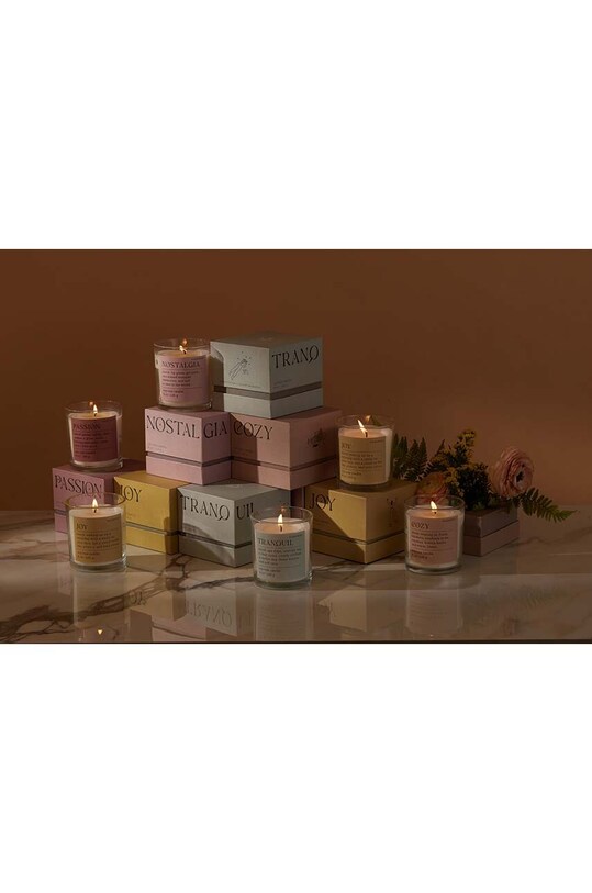Home SPA Vonná sójová sviečka Paddywax Mood Nostalgia 226 g MD0802EU ružová