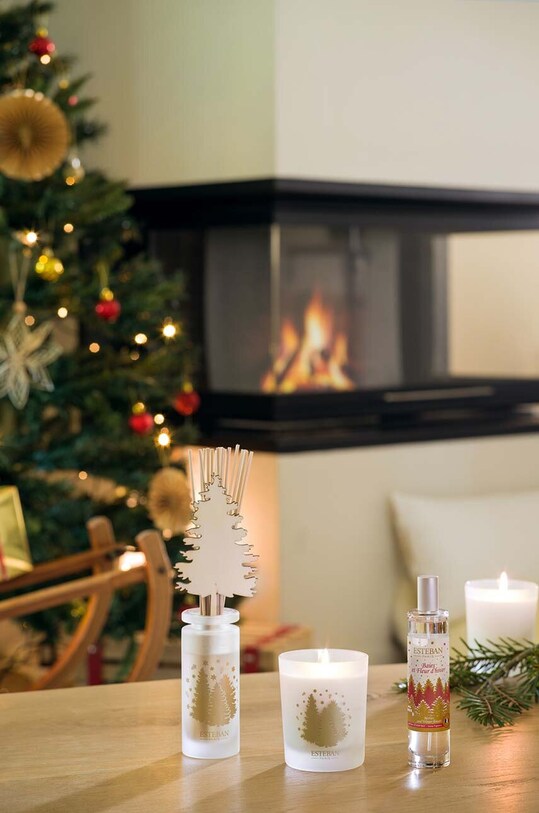 Aroma difuzér Esteban Berries and Winter Flower 100 ml ELN.131 vícebarevná AA00