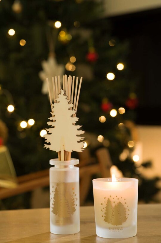 Home SPA Aroma difuzér Esteban Berries and Winter Flower 100 ml ELN.131 vícebarevná