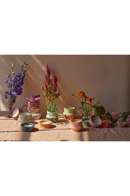 Paddywax świeca zapachowa sojowa Gardenia&Tonka 141g FO0501EU pomarańczowy