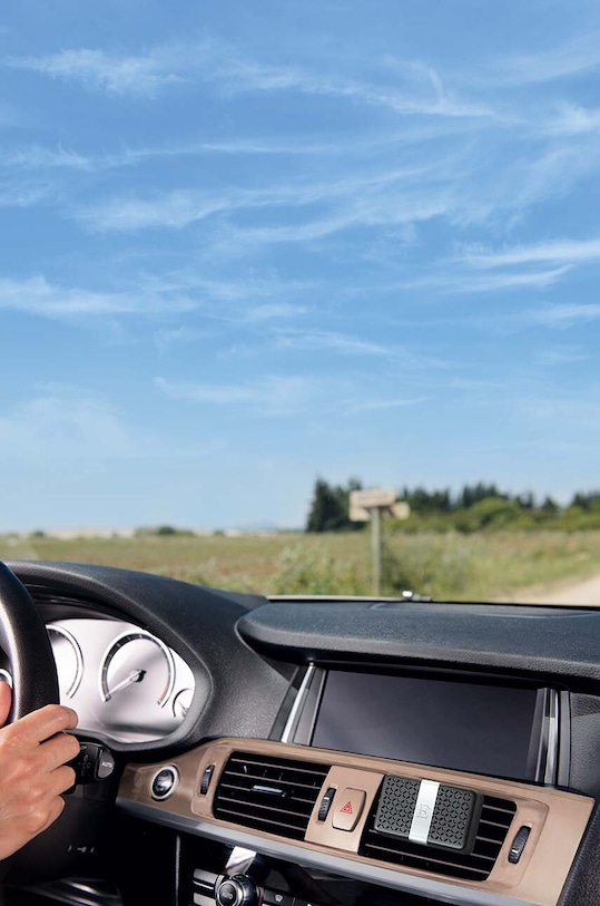 Esteban parfum de mașină Pur Lin multicolor LIN.016