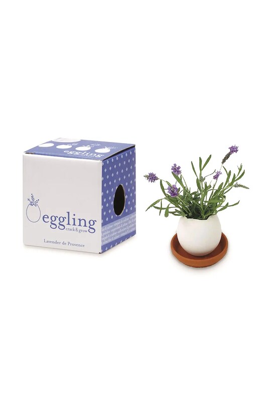 Набор для выращивания растений Noted Eggling Lavender de Provence белый EG32