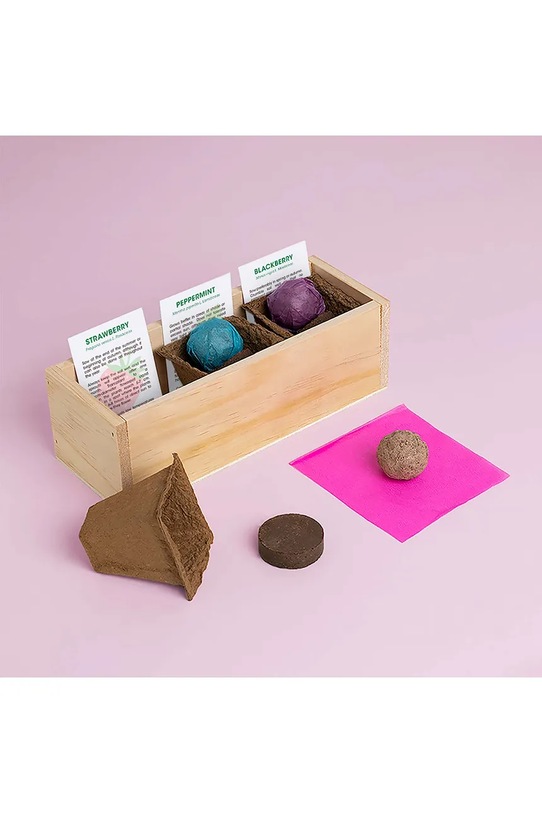 RESETEA zestaw do uprawy roślin Desserts Growing Kit 21 x 7,8 x 6,5 cm Erst165 multicolor AA00