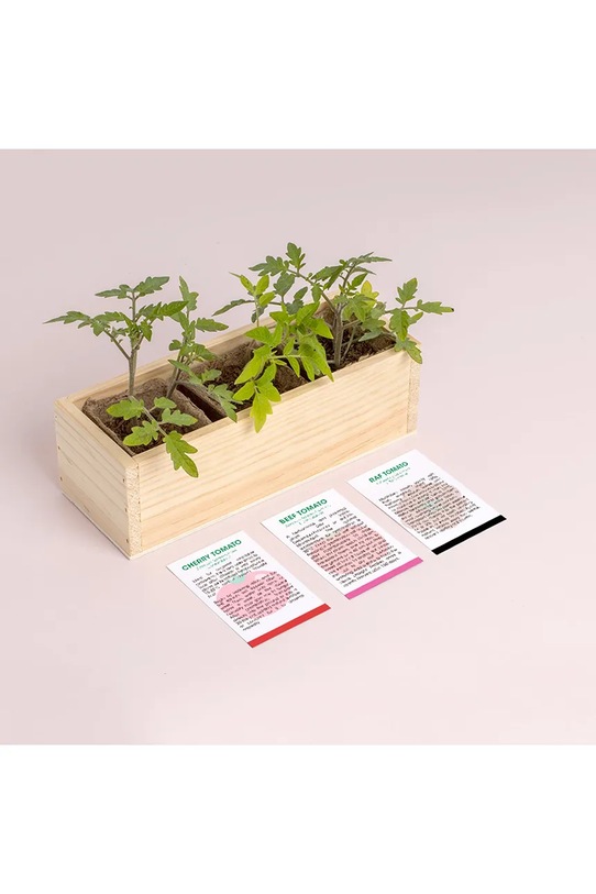 Lifestyle RESETEA zestaw do uprawy roślin Mini garden Tomatoes 21 x 7,8 x 6,5 cm Erst429 multicolor