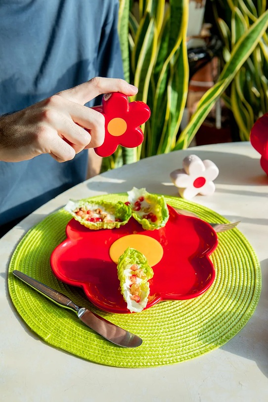 Кухня та бар Тарілка DOIY Stokrotka DYPLADAIRE червоний