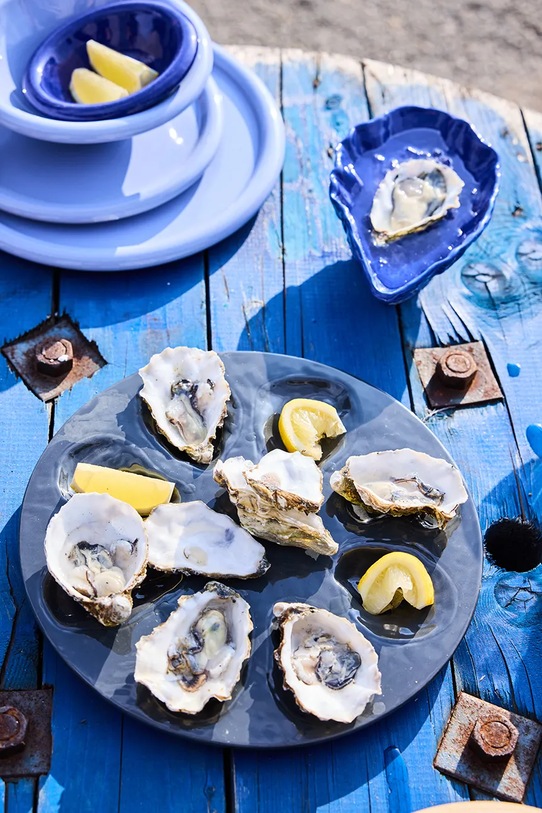 Byon miseczka do serwowania z porcelany 19,5 x 11,5 x 7 cm 5228660833 niebieski