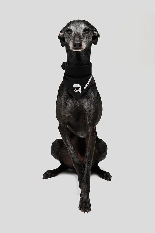 Karl Lagerfeld nyakörv Ikon A1W42042 fekete