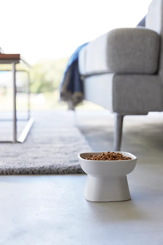 Lifestyle Μπολ για κατοικίδια Yamazaki Tower 200 ml 1779 λευκό