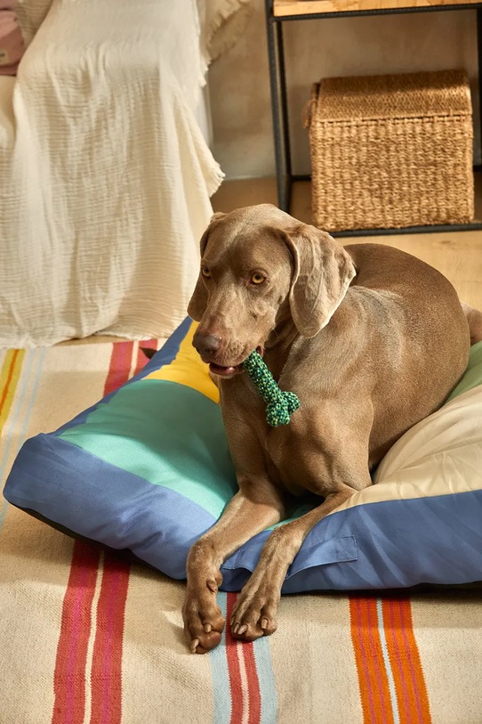 Vzglavnik za psa Buby L BUBY.CS90.TUR