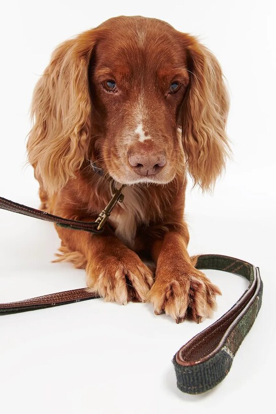 Vodítko pre psa Barbour Classic Tartan hnedá DAC0009