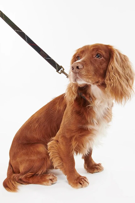 Vodítko pre psa Barbour Classic Tartan DAC0009 hnedá