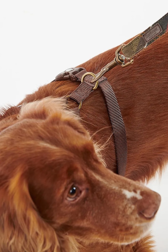 Postroj pre psa Barbour Travel And Exercise hnedá DAC0011