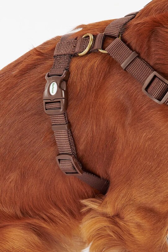 Postroj pre psa Barbour Travel And Exercise DAC0011 hnedá