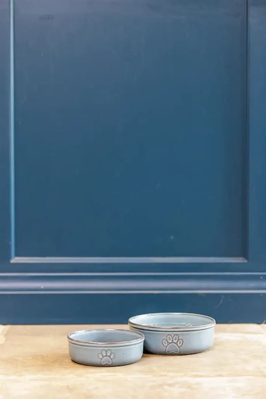 Лайфстайл Миска для домашнього улюбленця Mason Cash Reactive Paw 18 cm 2030.482 блакитний