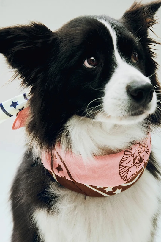 Lifestyle HAY kutyasál 55 x 55 cm AE930.D281.AF07 rózsaszín