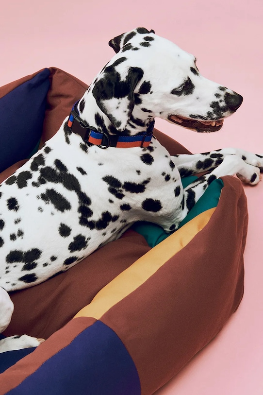 HAY legowisko dla pupila Medium 65 x 78 x 26 cm multicolor AD862.A602.AG24