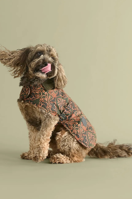 Barbour haină de câine x Farm Rio multicolor DCO0092