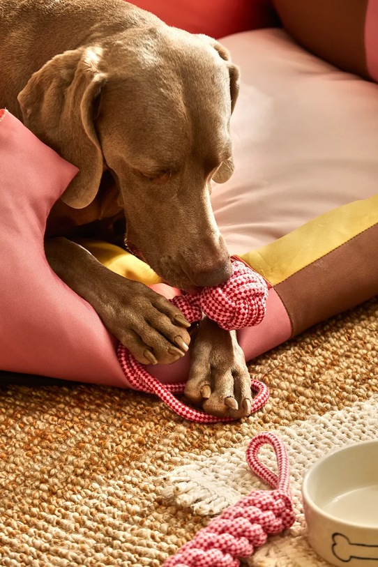 Calma House zabawka dla pupila Buby 32 x 6,5 cm różowy BUBY.PT38.ROS