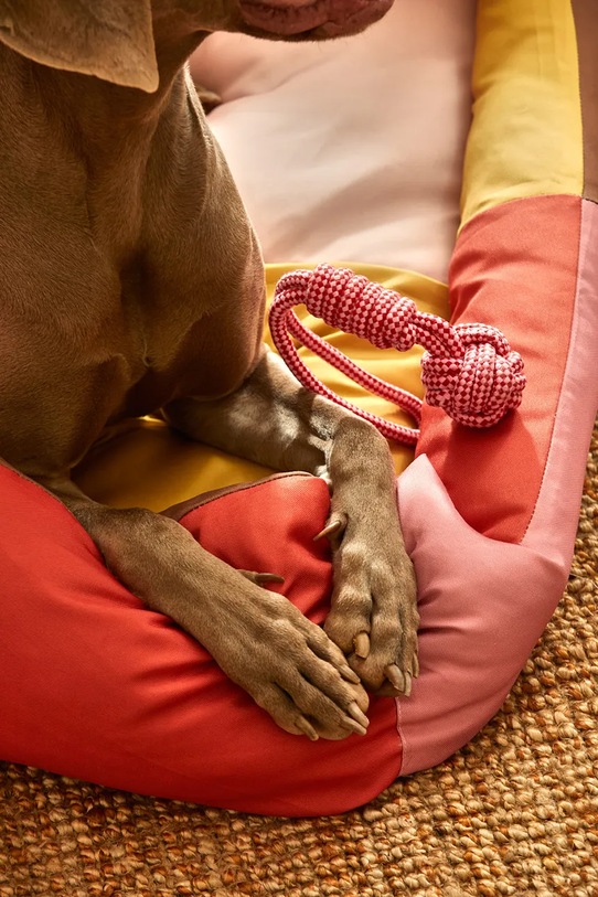 Calma House zabawka dla pupila Buby 32 x 6,5 cm BUBY.PT38.ROS różowy